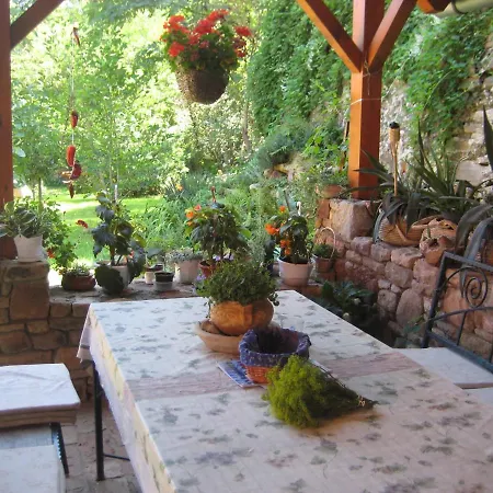 홈스테이 Lindentree-harmony